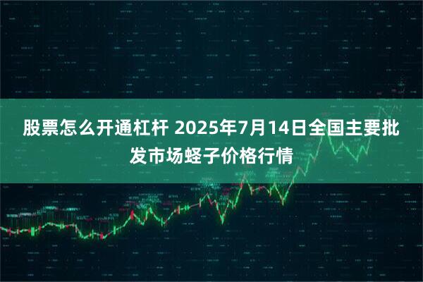 股票怎么开通杠杆 2025年7月14日全国主要批发市场蛏子价格行情