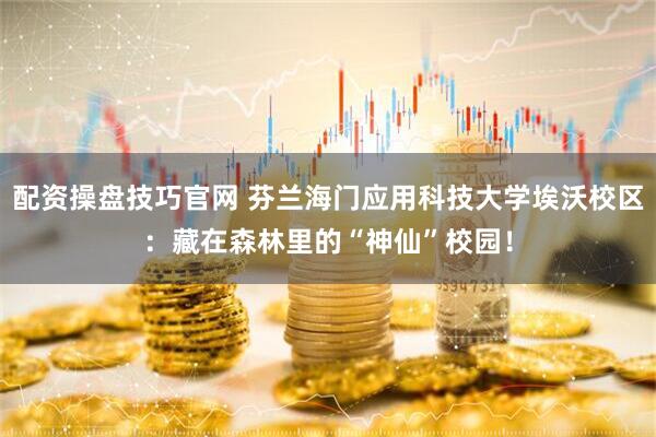 配资操盘技巧官网 芬兰海门应用科技大学埃沃校区：藏在森林里的“神仙”校园！