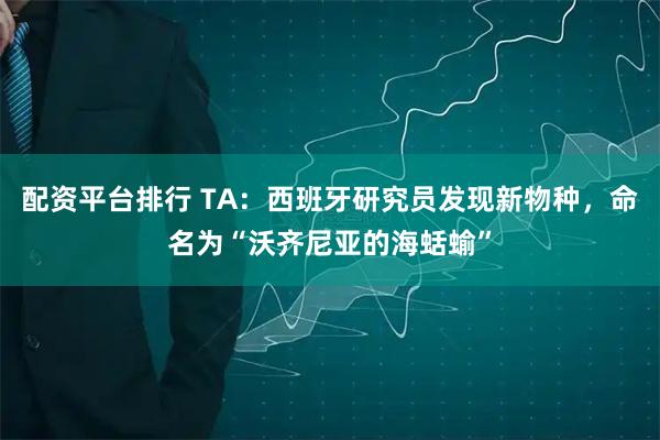 配资平台排行 TA：西班牙研究员发现新物种，命名为“沃齐尼亚的海蛞蝓”